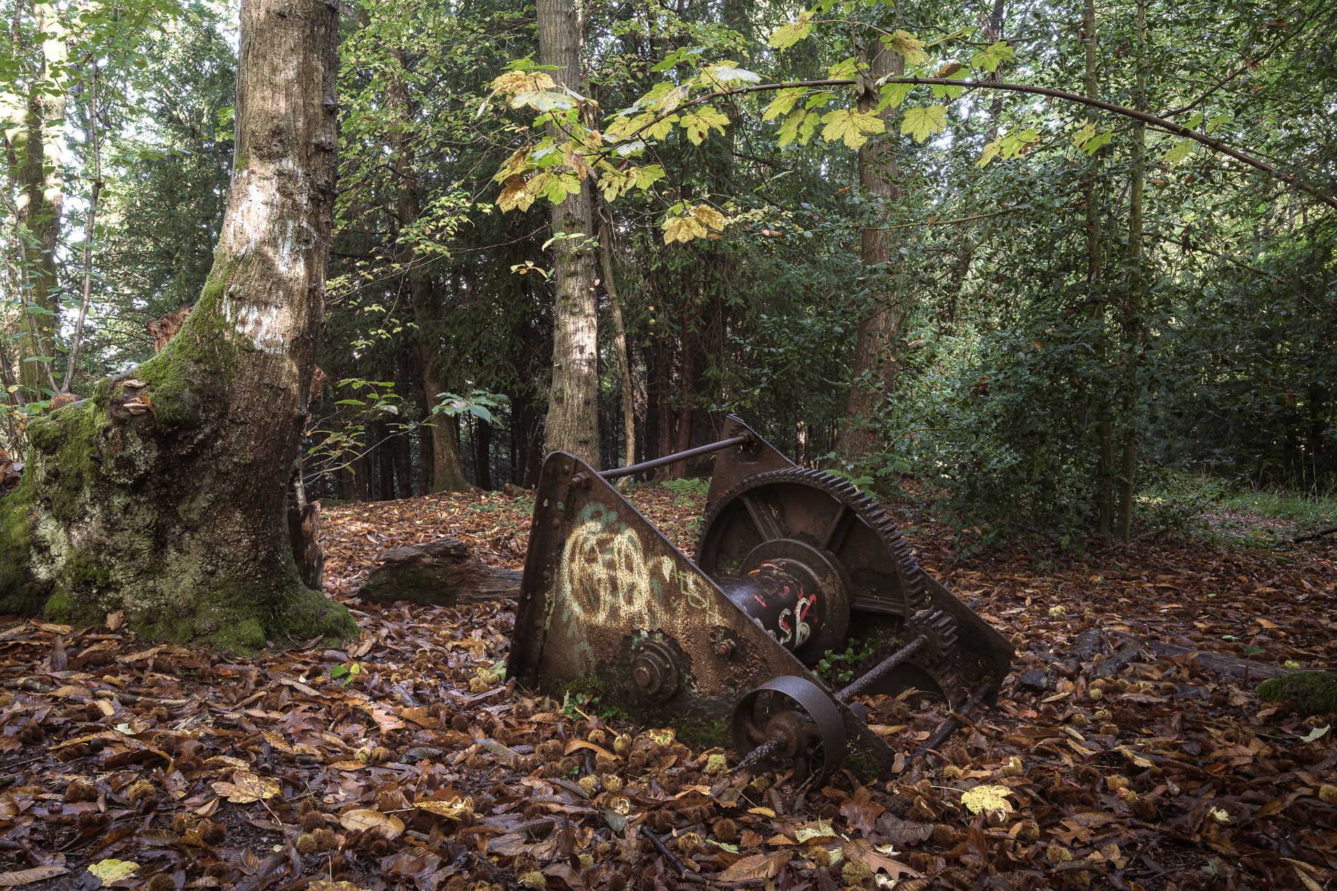 Along The Way Photographic Documentary Forgotten Winch in Leigh Woods