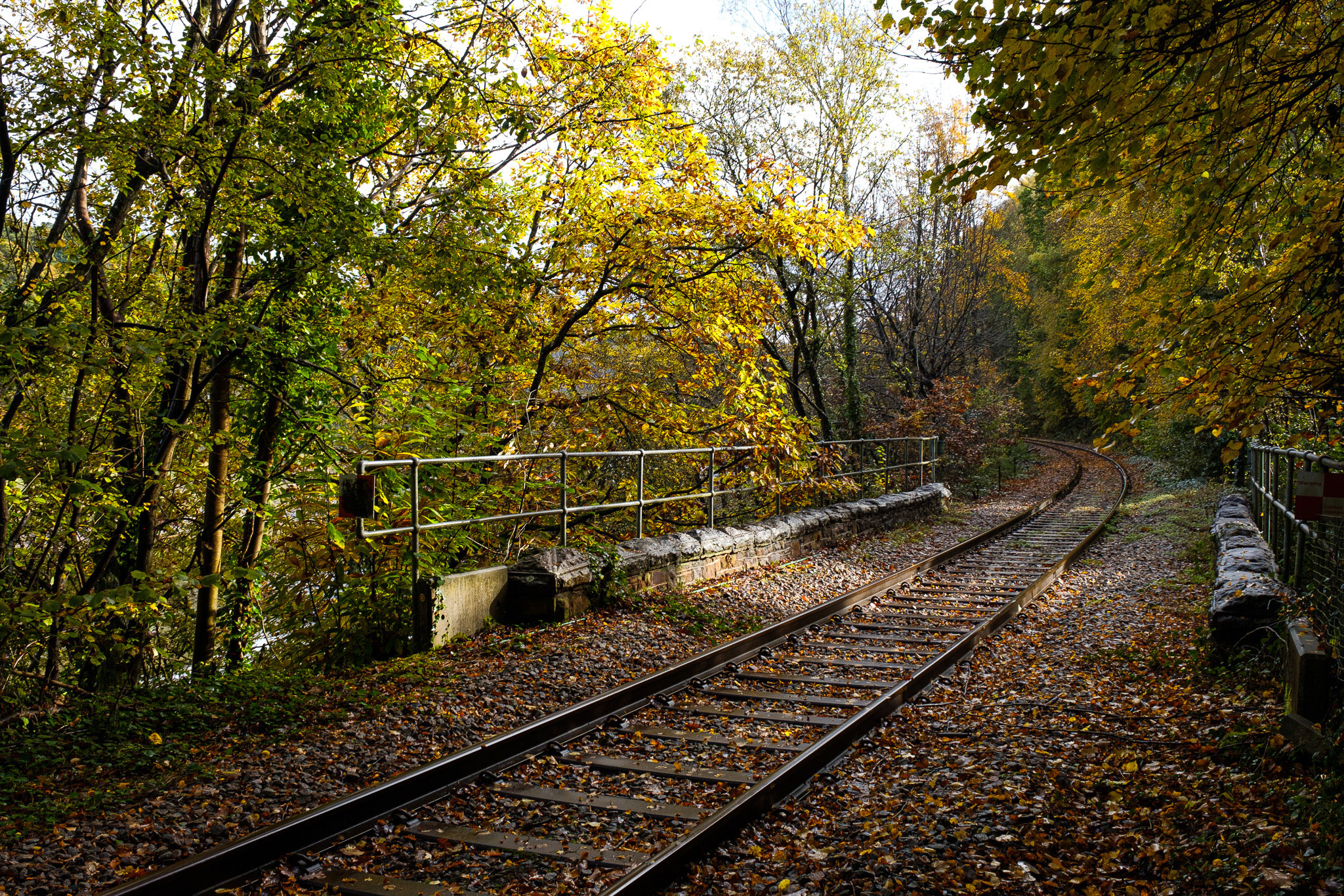 Portishead to Bristol train line with autumnal colours photographed with Fujifilm Astia